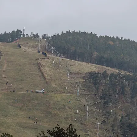 Divcinova Planinski A9 *