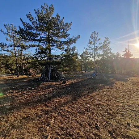 Divcinova Planinski A9 *