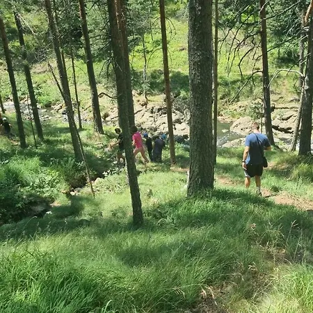 Divcinova Planinski A9