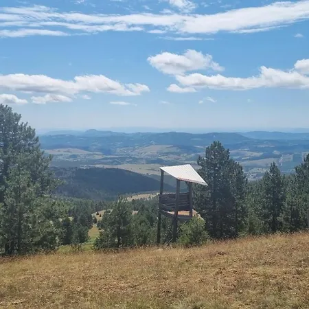 Апартаменты Divcinova Planinski A9