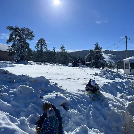 Divcinova Planinski A9 * Divcibare