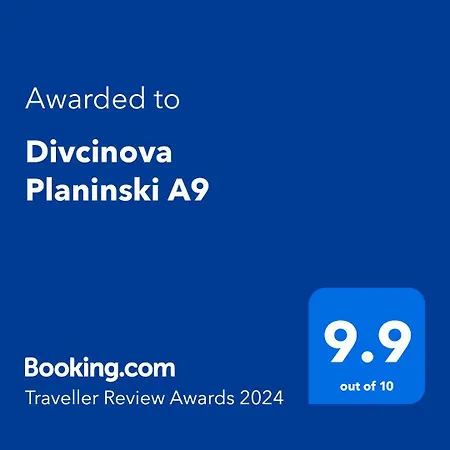 Apartment Divcinova Planinski A9