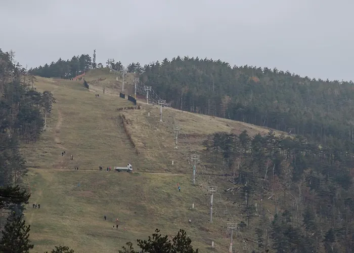 Divcinova Planinski A9 *