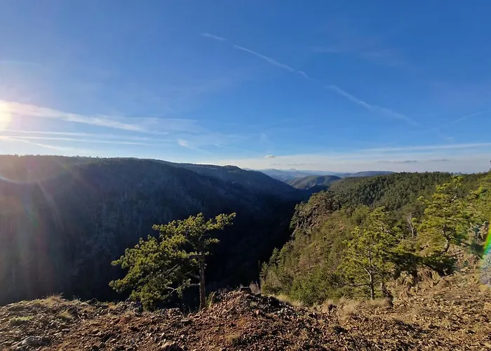 아파트 Divcinova Planinski A9 Divčibare