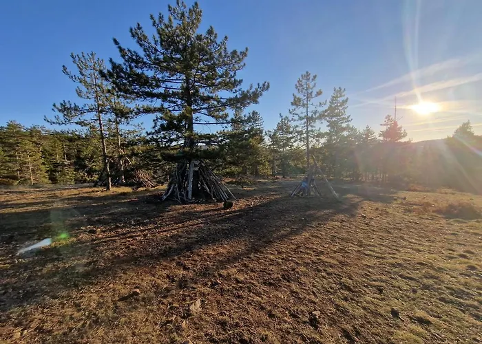 Divcinova Planinski A9 *