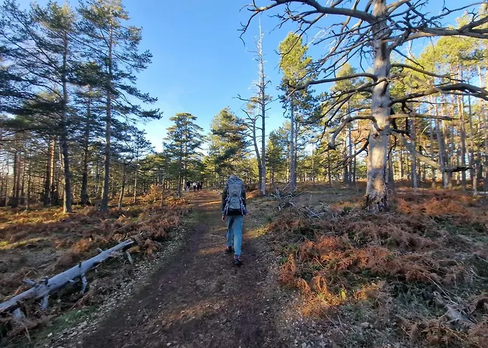 아파트 Divcinova Planinski A9