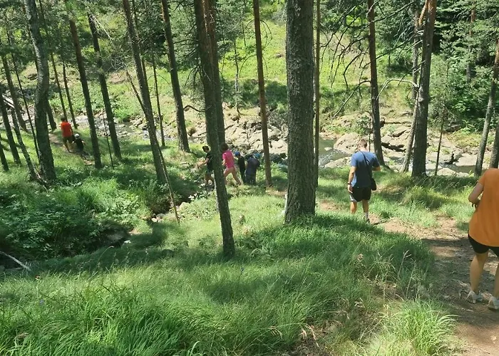 Divcinova Planinski A9