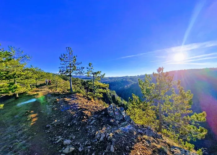 아파트 Divcinova Planinski A9 Divčibare