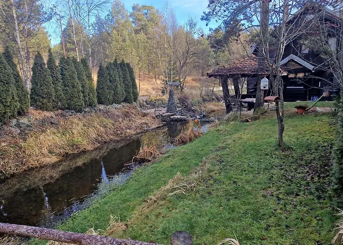 Divcinova Planinski A9 * Divčibare