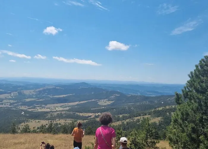 Divcinova Planinski A9 아파트