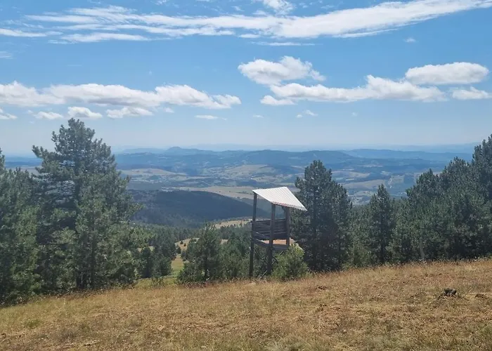 아파트 Divcinova Planinski A9