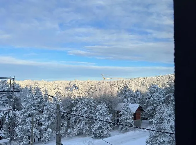 Divcinova Planinski A9 아파트 Divčibare