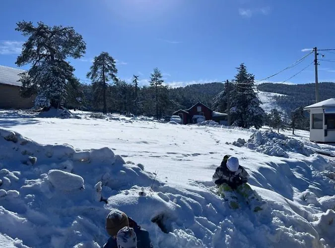 Divcinova Planinski A9 * Divčibare