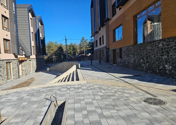 Divcinova Planinski A9 *