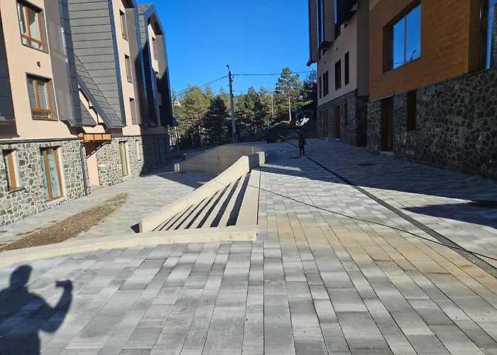 아파트 Divcinova Planinski A9